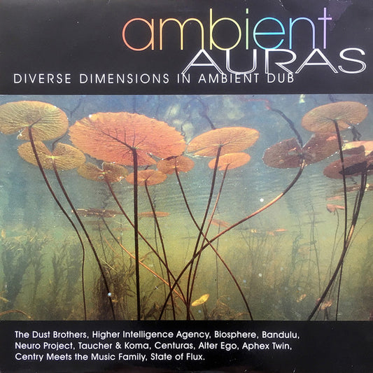 Ambient Auras: Diverse Dimensions In Ambient Dub Discogs cover art