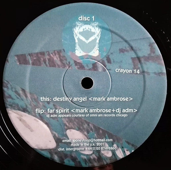 Destiny Angel Discogs cover art