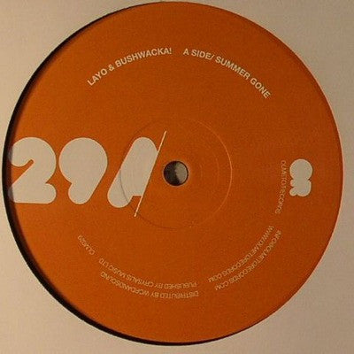 Summer Gone / What Do You Say Now? Discogs cover art