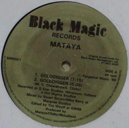 Golddigger Discogs cover art