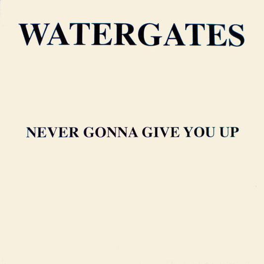 Never Gonna Give You Up