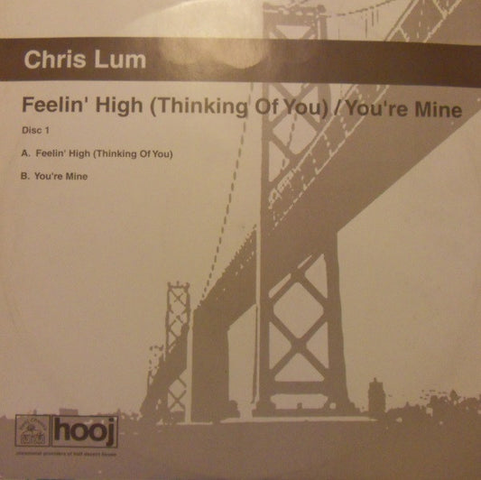 Feelin' High (Thinking Of You) / You're Mine