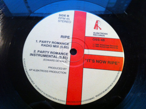 Party Romance