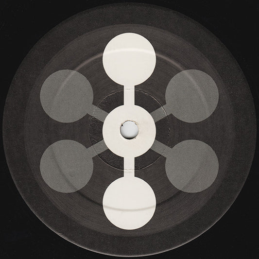 The House Is Mine / Pioneers Of The Warped Groove