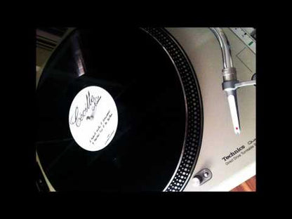 Robert Dietz / Markus Fix - Shunsower / Bo Boston
