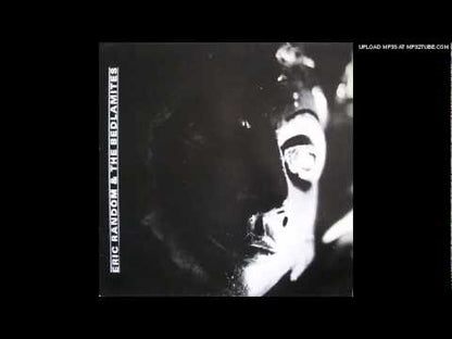 Eric Random And The Bedlamites - Mad As Mankind