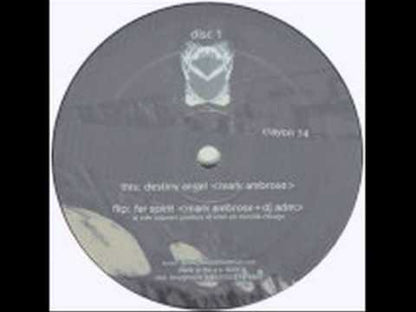 Mark Ambrose - Destiny Angel