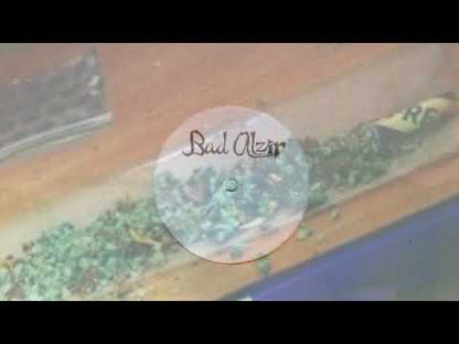 Bud Alzir - See Them