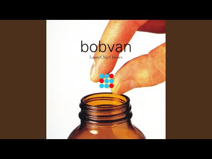 Bobvan - Go With The Flow