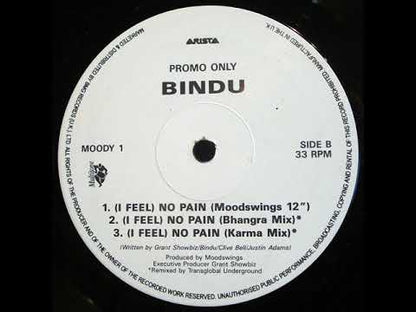 Bindu - We've Got Feelings Too / I Feel No Pain
