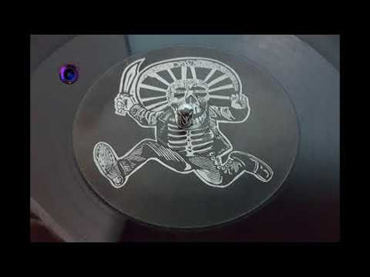 Paradise Organisation - Wise Blood