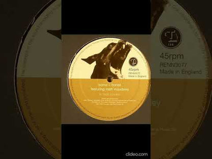 Koma & Bones - Black Satsuma