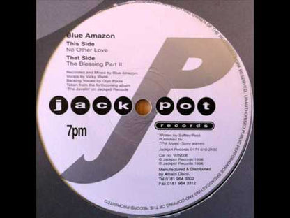 Blue Amazon - No Other Love