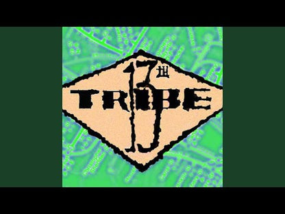 Thirteenth Tribe   - This Is The Summer