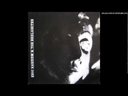 Eric Random And The Bedlamites - Mad As Mankind