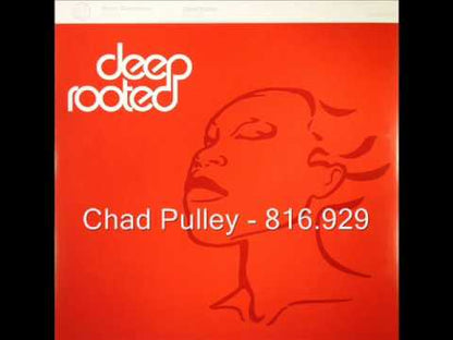 Sonic Generation / Chad Pulley - Visions / 816.929