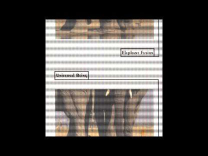 Universal Being  - Elephant Fusion