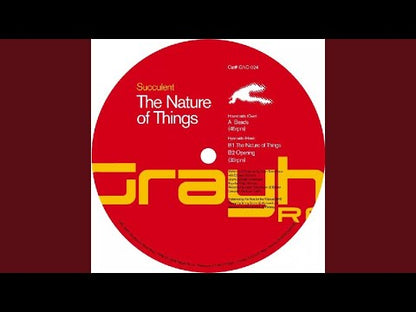 Succulent - The Nature Of Things